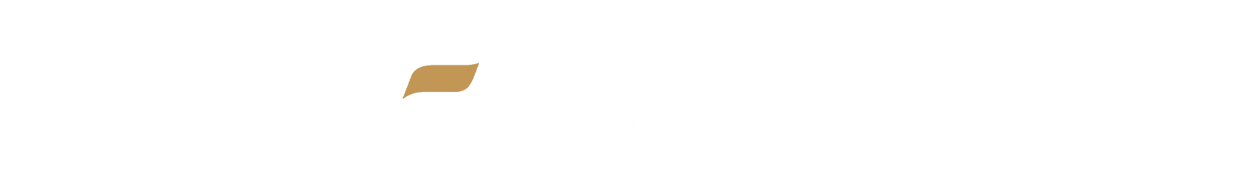 VDF — Vietnam Duty Free
